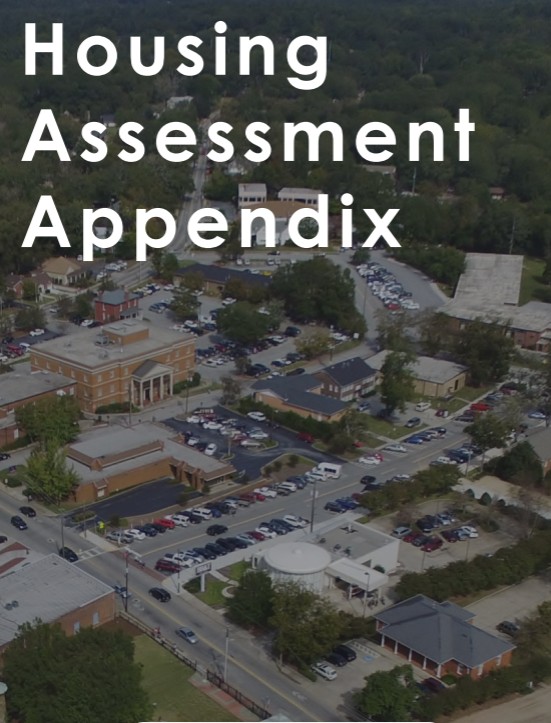 Housing Assesment Appendex Icon